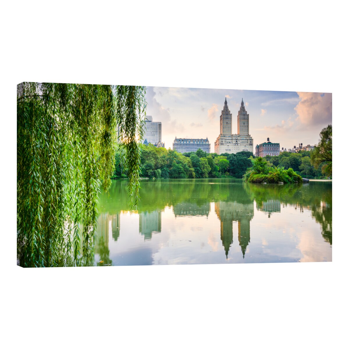 Cuadro Canvas Revolution X Nueva York Lago Central Park Planta