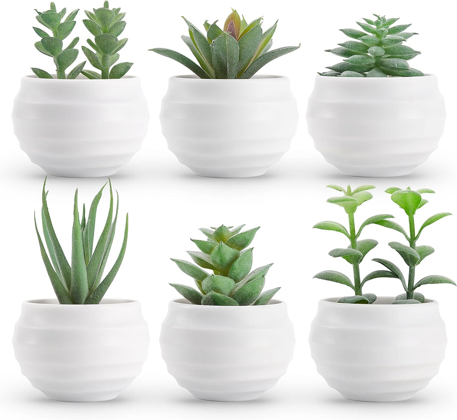 Set de 6 Plantas Suculentas Artificiales en Macetas para Decoración del