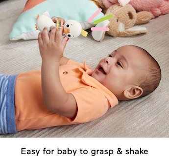 Foto 3 | Sonajero Clack & Quack Goose De Toy Fisher-price, Más De 3 Meses - Venta Internacional.