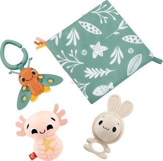 Foto 1 | Set De Juguetes Fisher-price So Many Senses 4 Sensory Activities 0+m - Venta Internacional.