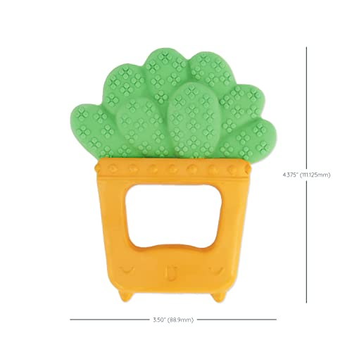 Foto 7 pulgar | Suculenta Goma Teether Infantino Squeeze & Teethe Sin Bpa - Venta Internacional.