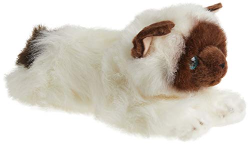 Foto 2 pulgar | Venta Internacional - Peluche Aurora Gato Blanco