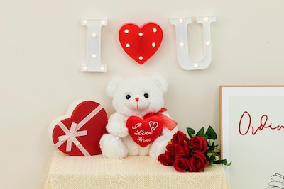 Foto 3 | Oso de Peluche Hollyhome 30 Cm Blanco - Venta Internacional