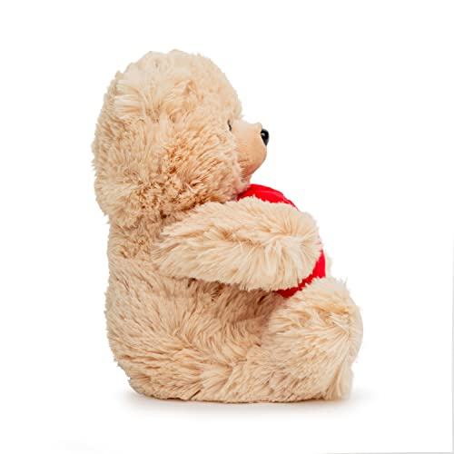 Foto 8 pulgar | Oso de Peluche Ganz 9 Get Well Soon 23 cm - Venta Internacional