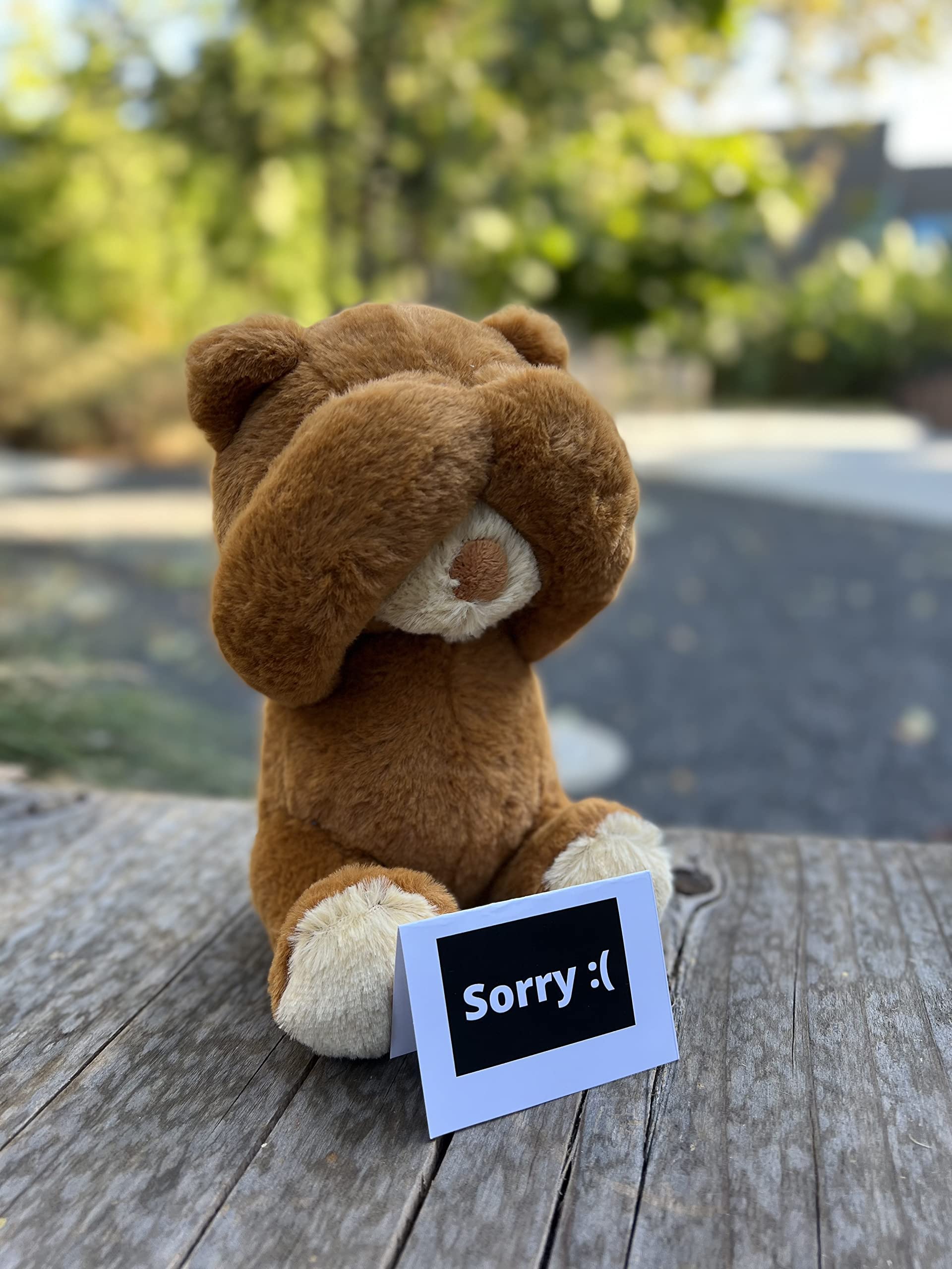 Foto 5 pulgar | Oso de Peluche Marrón - Venta Internacional
