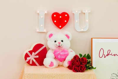 Foto 2 | Oso de Peluche Hollyhome I Love You 33 Cm con Rubor Led - Venta Internacional