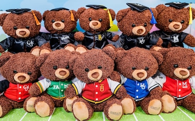 Foto 6 | Oso de Peluche HBCyou FAMU Snuggly Graduate de 25 cm para Niños Mayores de 3 Años - Venta Internacional