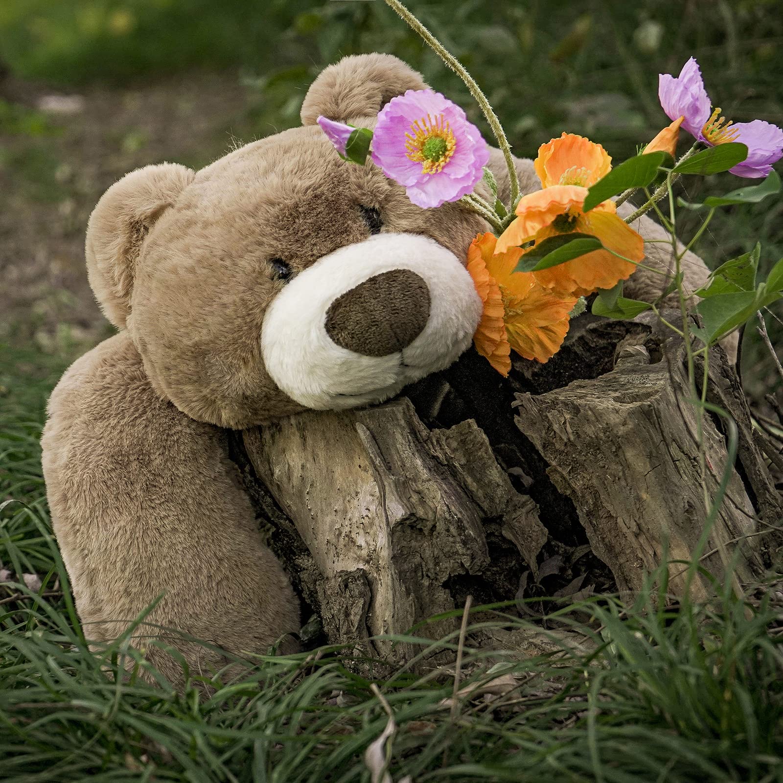 Foto 4 pulgar | Oso de Peluche Niuniu Daddy de 50 cm-Venta Internacional