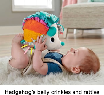 Foto 5 | Peluche Fisher-price Cuddle N' Snuggle Hedgehog Durante Más De 3 Meses - Venta Internacional.