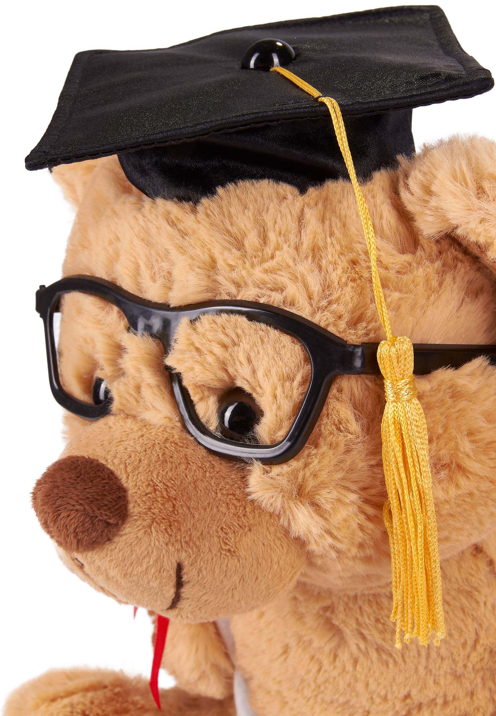 Foto 4 pulgar | Oso De Peluche De Peluche Brubaker Con Gafas Y Diploma - Venta Internacional.