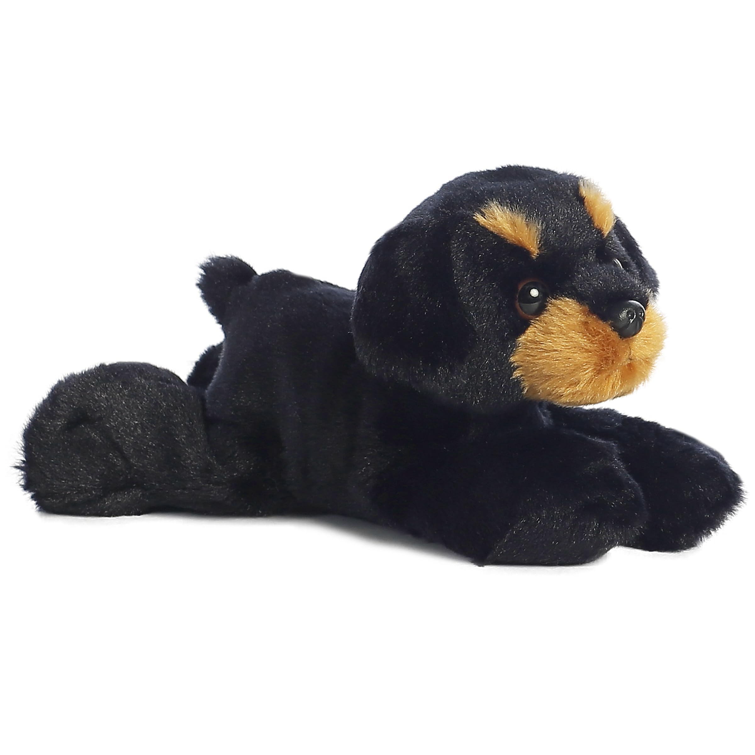 Miniflopsie™ Raina™ De Peluche Aurora , Adorable, 20 Cm, Color Negro - Venta Internacional.