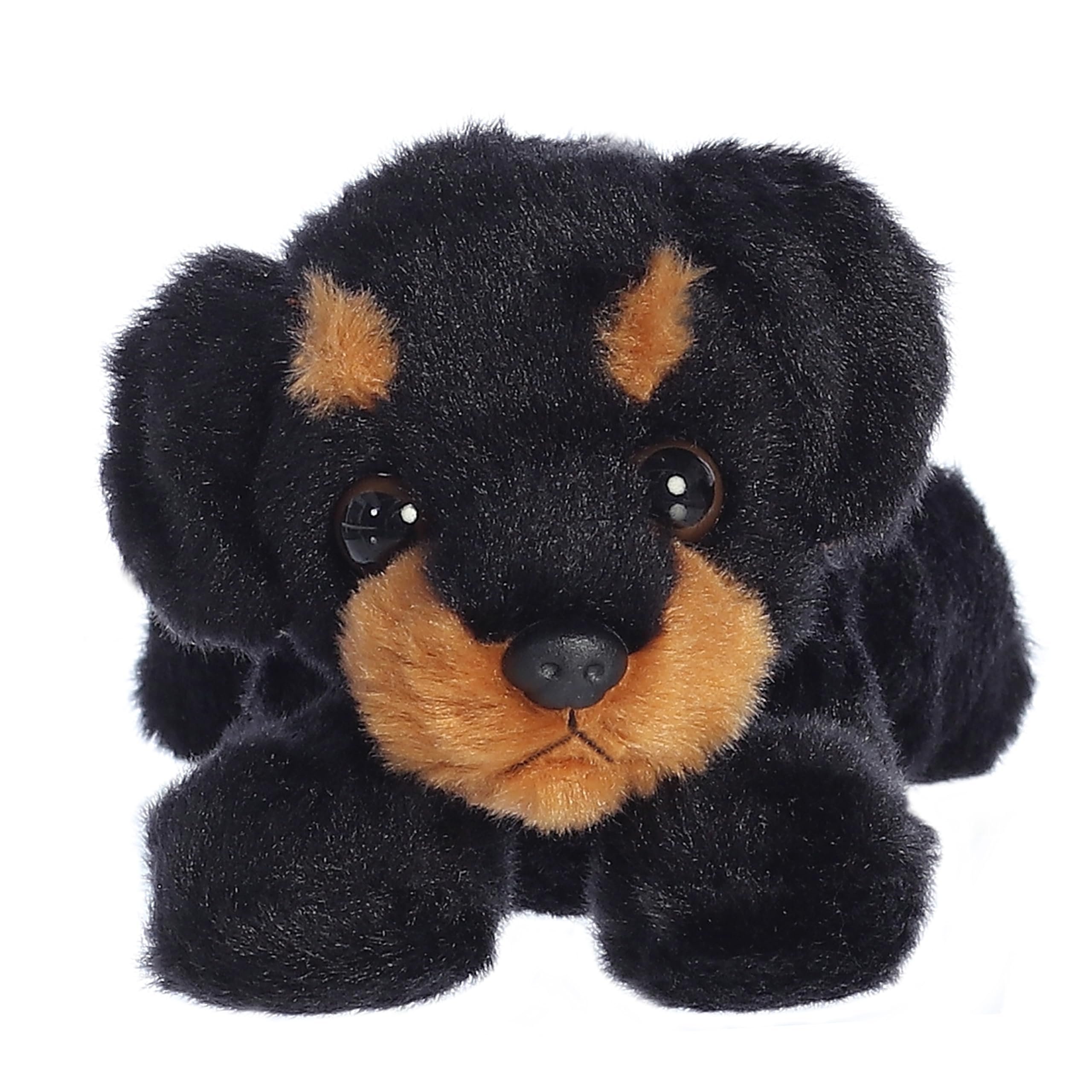 Foto 2 | Miniflopsie™ Raina™ De Peluche Aurora , Adorable, 20 Cm, Color Negro - Venta Internacional.