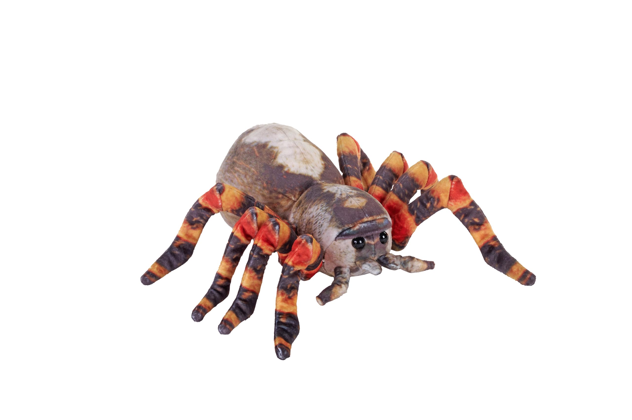 Foto 2 pulgar | Peluche Wild Republic Living Earth Tarántula 30 Cm - Venta Internacional.