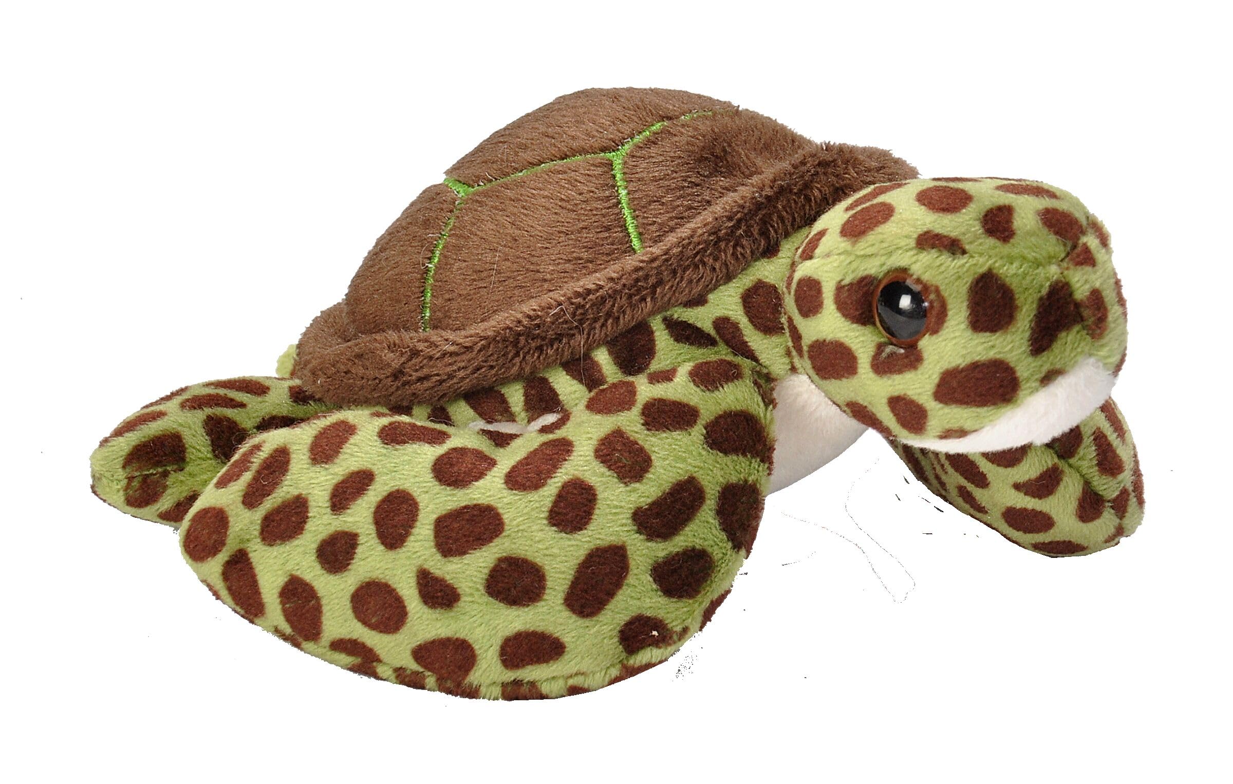 Peluche Wild Republic Pocketkins Eco Green Sea Turtle - Venta Internacional.