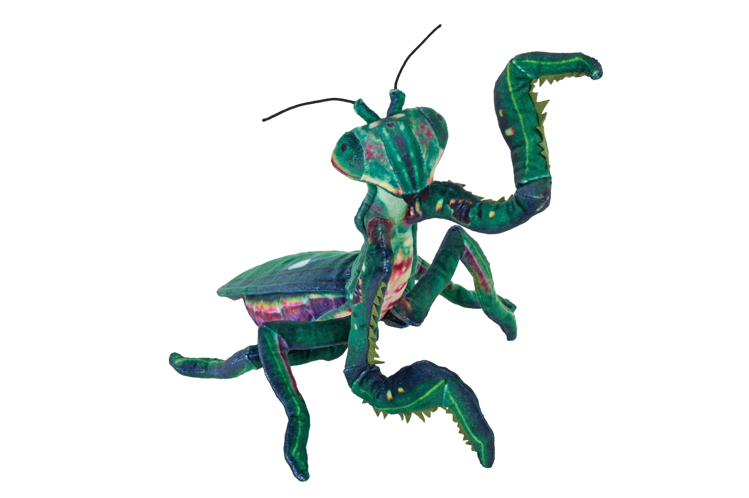 Foto 2 pulgar | Mantis Religiosa Wild Republic Living Earth, 40 Cm - Venta Internacional.