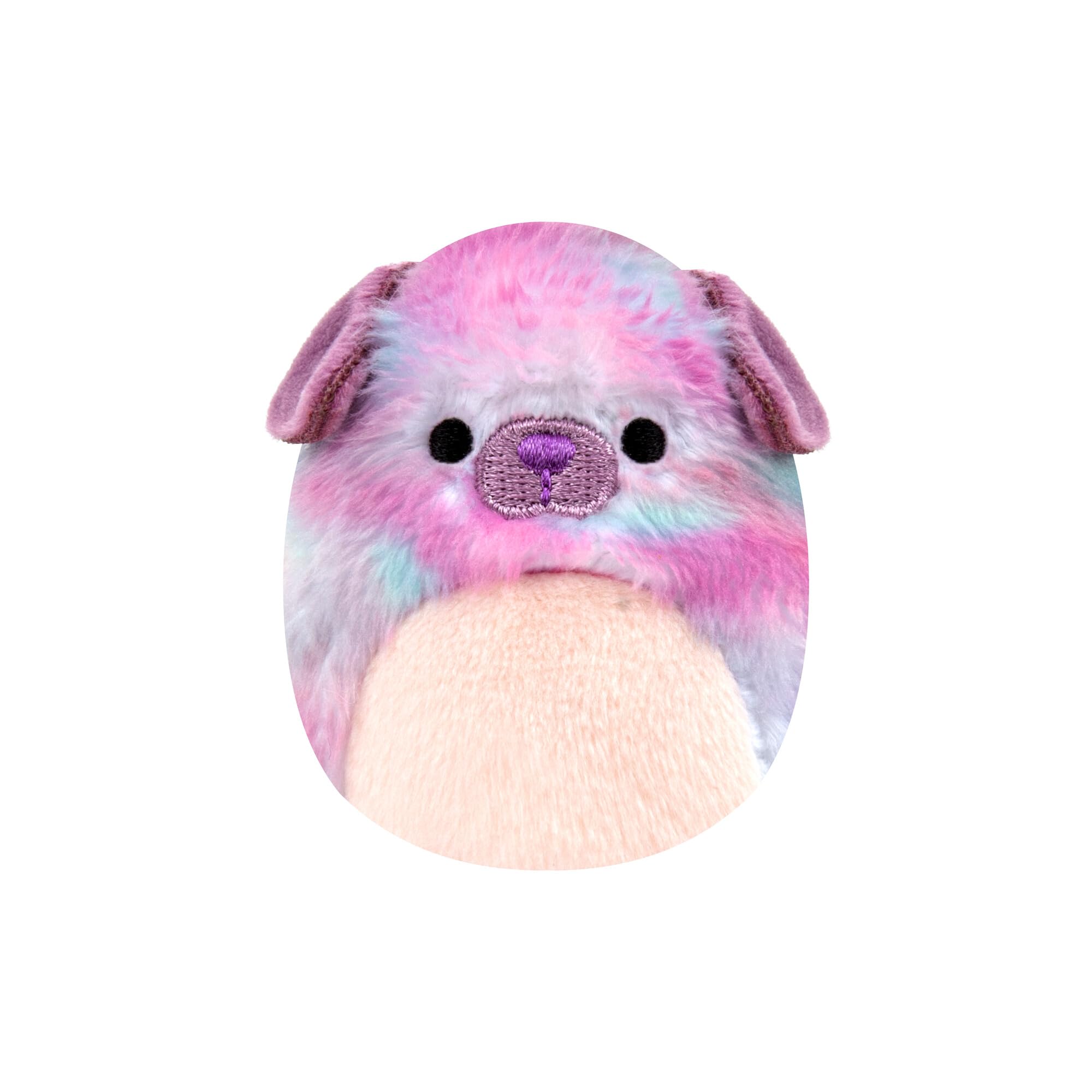 Foto 5 pulgar | Peluche Squishville Purple Pals Squad Con 6 Squishmallows - Venta Internacional.