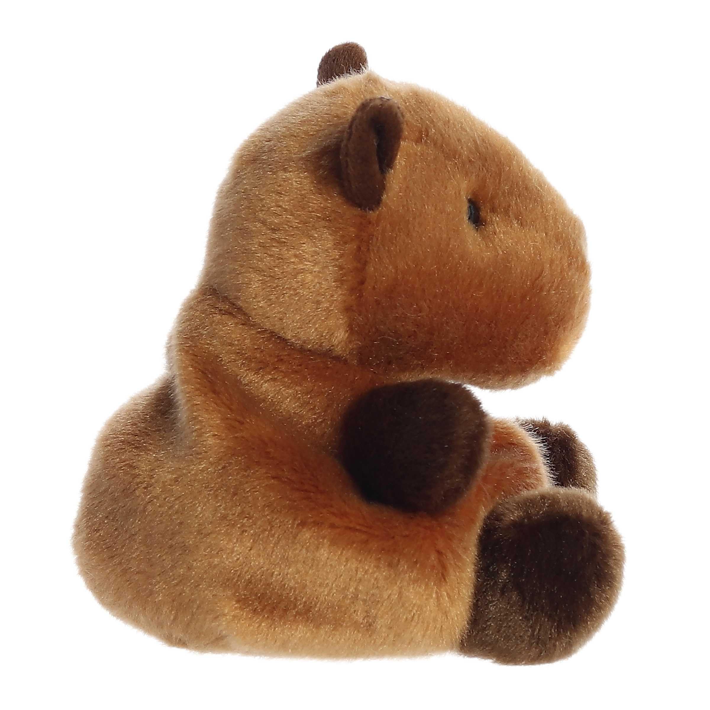 Foto 4 pulgar | Animal De Peluche Aurora  Adorable Palm Pals™ Sid Capybara™ 12 Cm - Venta Internacional.
