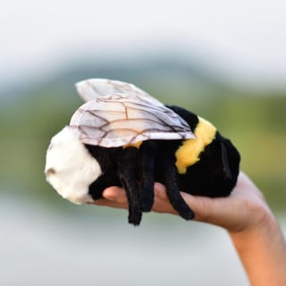 Foto 4 | Muñeca De Peluche Tammyflyfly Soft Bee, 17 Cm - Venta Internacional.