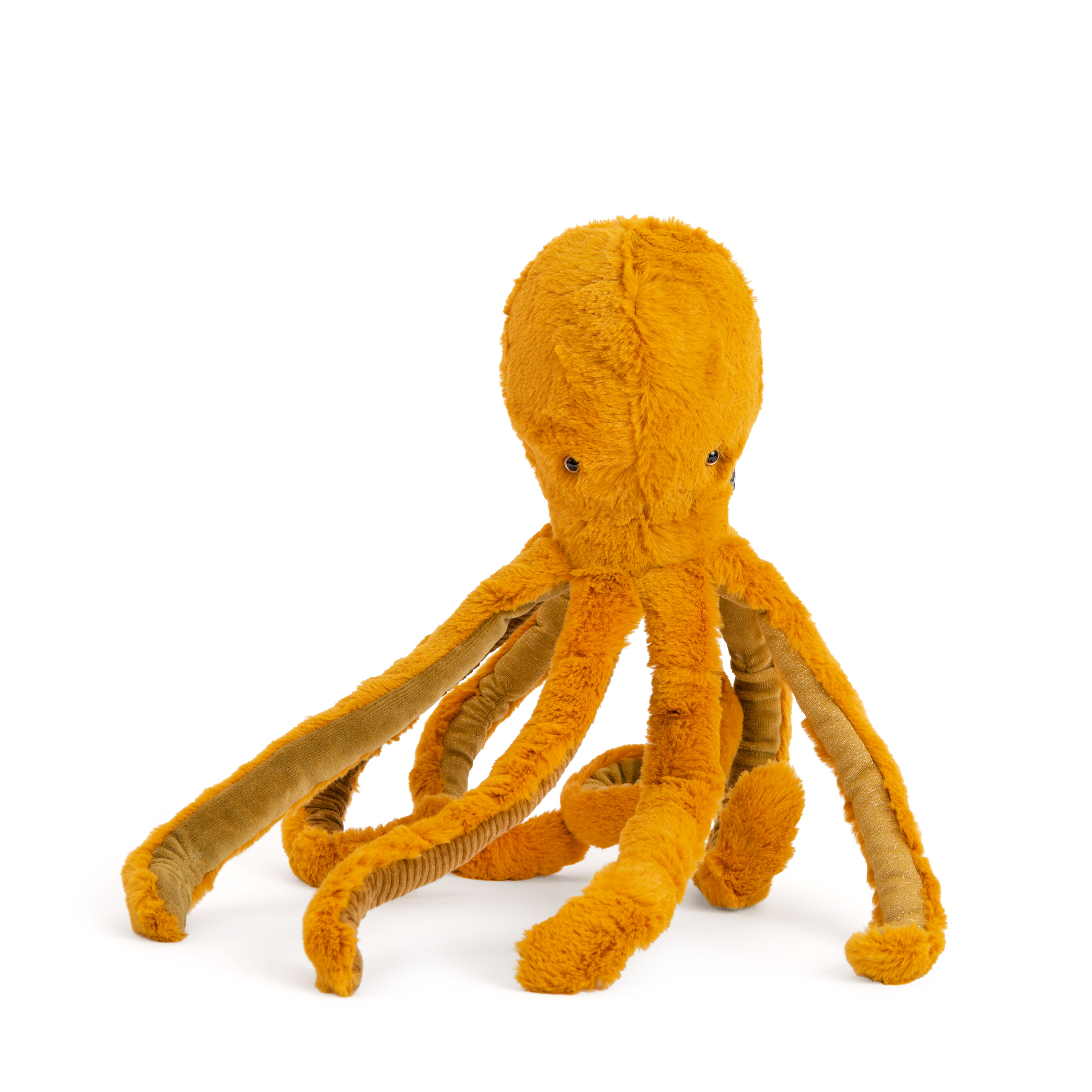 Foto 1 | Pulpo Pequeño