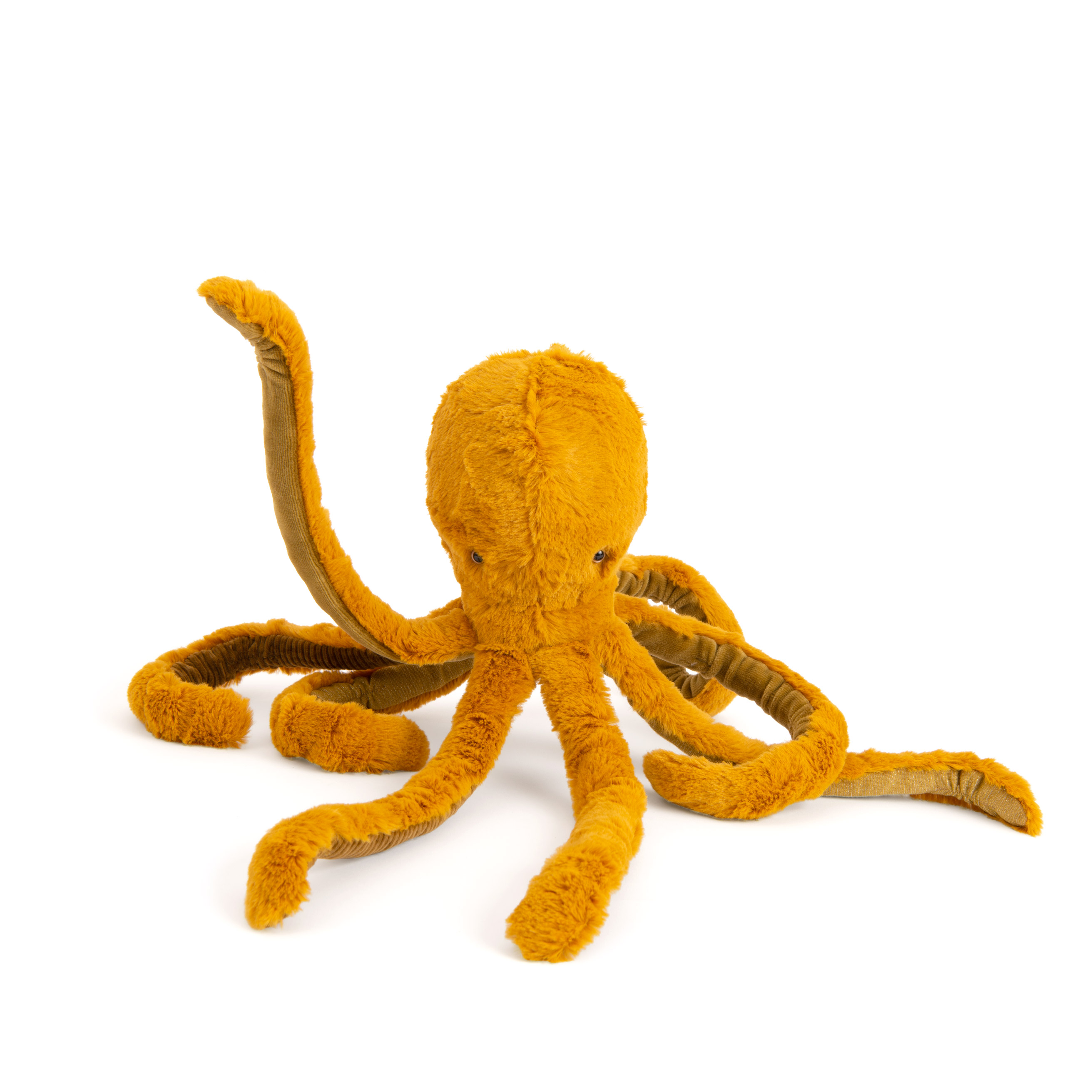 Foto 2 | Pulpo Pequeño