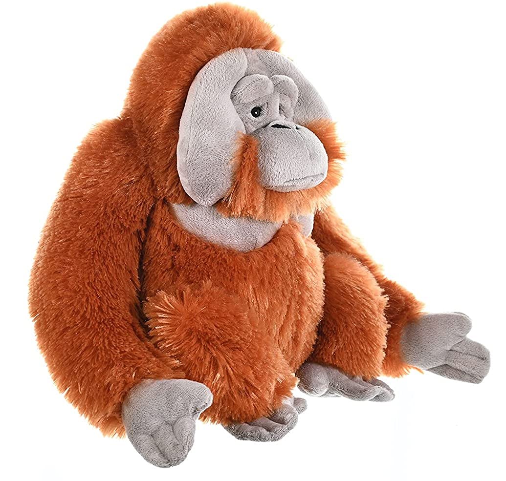 Foto 3 pulgar | Peluche De Peluche Wild Republic Orangutan Cuddlekins De 30 Cm - Venta Internacional.