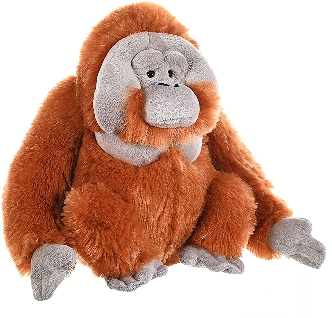 Foto 5 pulgar | Peluche De Peluche Wild Republic Orangutan Cuddlekins De 30 Cm - Venta Internacional.