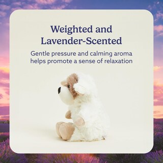 Foto 3 | Puppy Animal Warmies, Apto Para Microondas Y Con Peso Para Cachorros De 2 Kg - Venta Internacional.