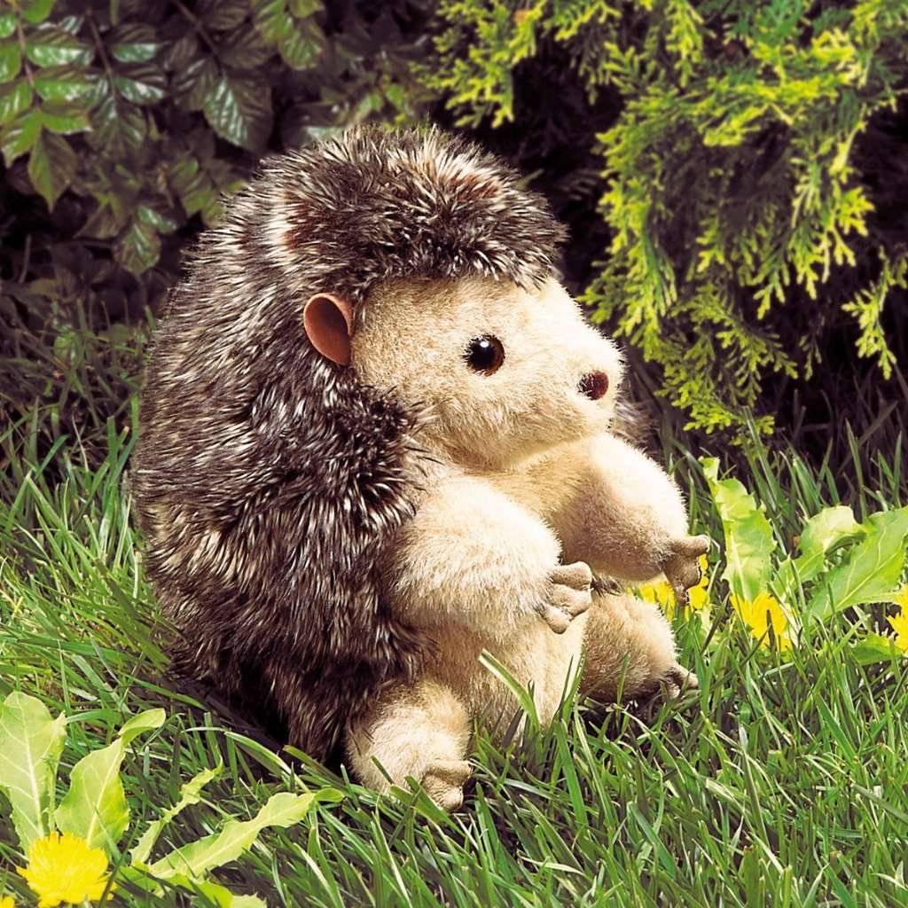 Foto 3 pulgar | Peluche Hand Puppet Folkmanis Hedgehog Para Bebés Y Niños - Venta Internacional.