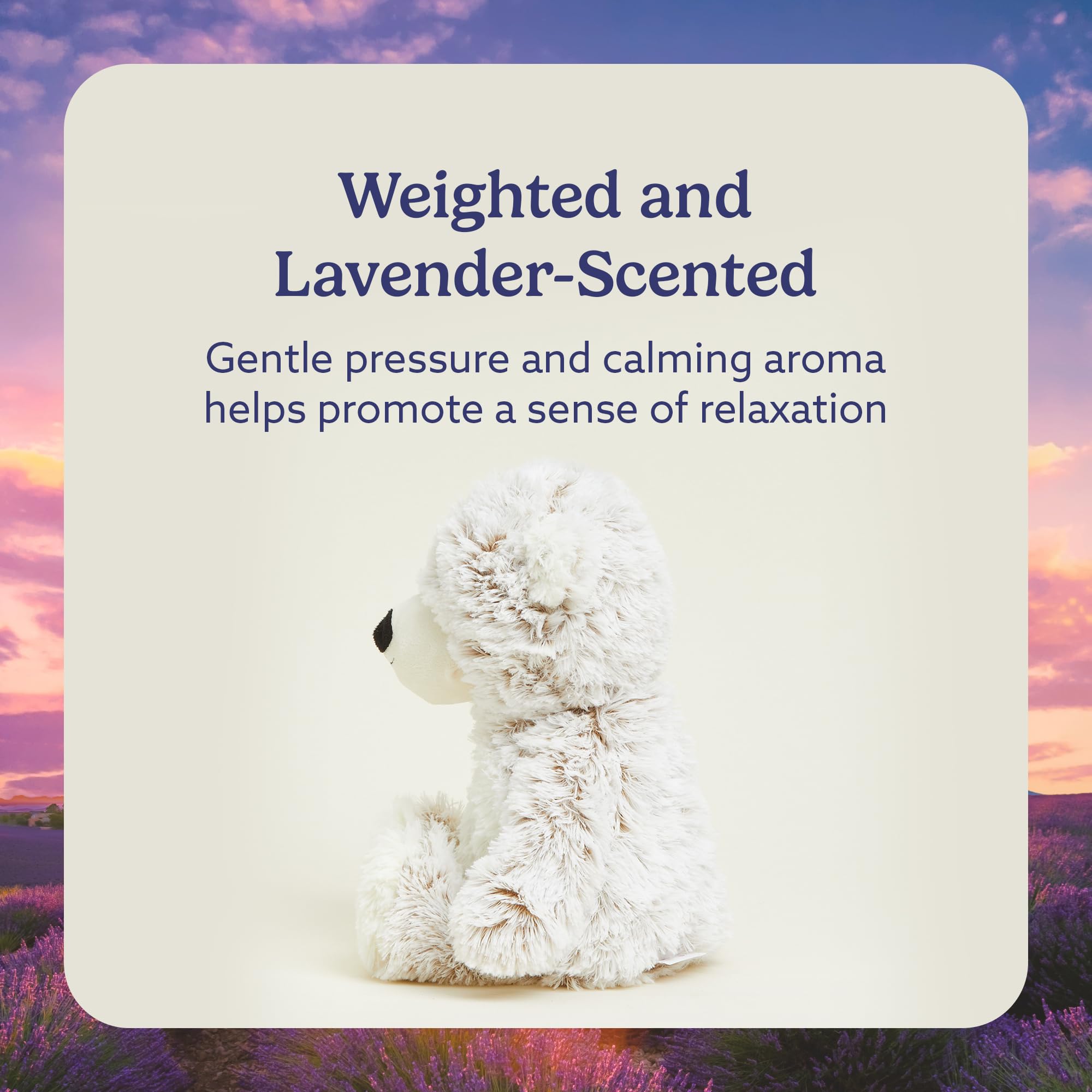 Foto 3 | Oso de Peluche Warmies Gray Bear Apto para Microondas - Venta Internacional