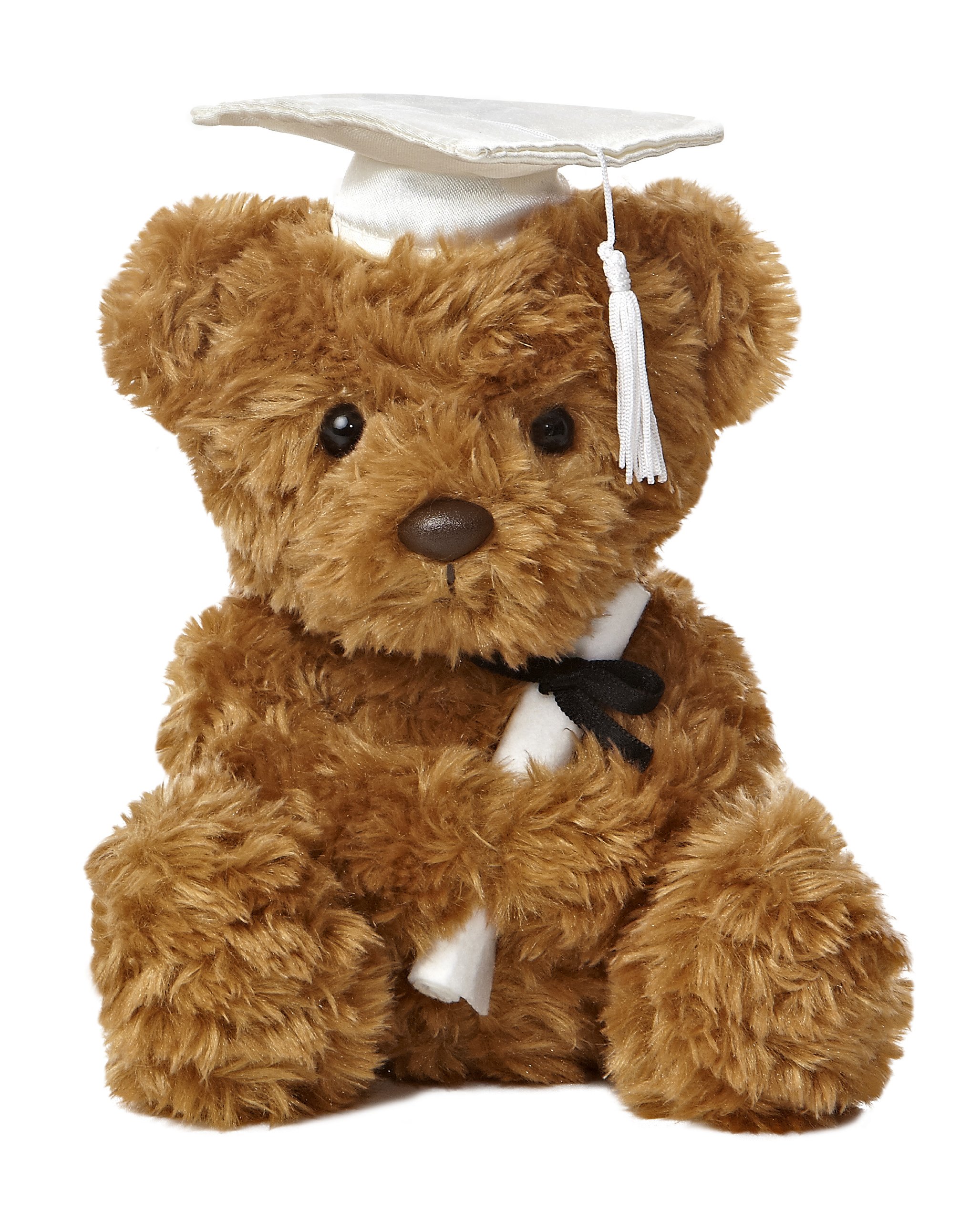 Peluche Aurora World Graduation 8.5 Wagner Bear Con Gorra - Venta Internacional.