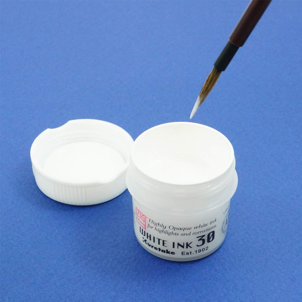Foto 5 pulgar | Pincel Ink Kuretake Zig Cartoonist  Blanco  30 Ml  Para Bolígrafo - Venta Internacional.
