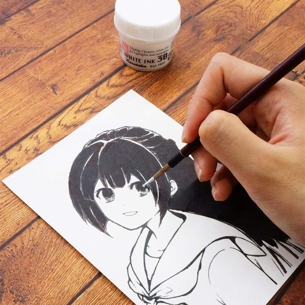 Foto 7 pulgar | Pincel Ink Kuretake Zig Cartoonist  Blanco  30 Ml  Para Bolígrafo - Venta Internacional.