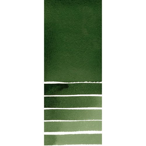 Foto 2 | Pintura De Acuarela Daniel Smith Deep Sap Green, Tubo De 15 Ml - Venta Internacional.