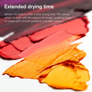Foto 7 | Set De Pintura Al Óleo Winsor & Newton Winton, 10 Tubos De 21 Ml - Venta Internacional.