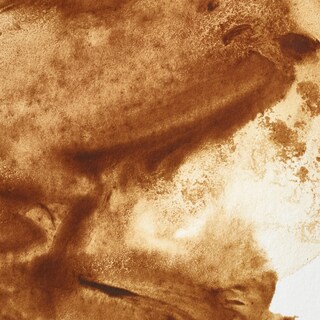 Foto 2 | Pintura Acuarela Winsor & Newton Professional Raw Umber - Venta Internacional.
