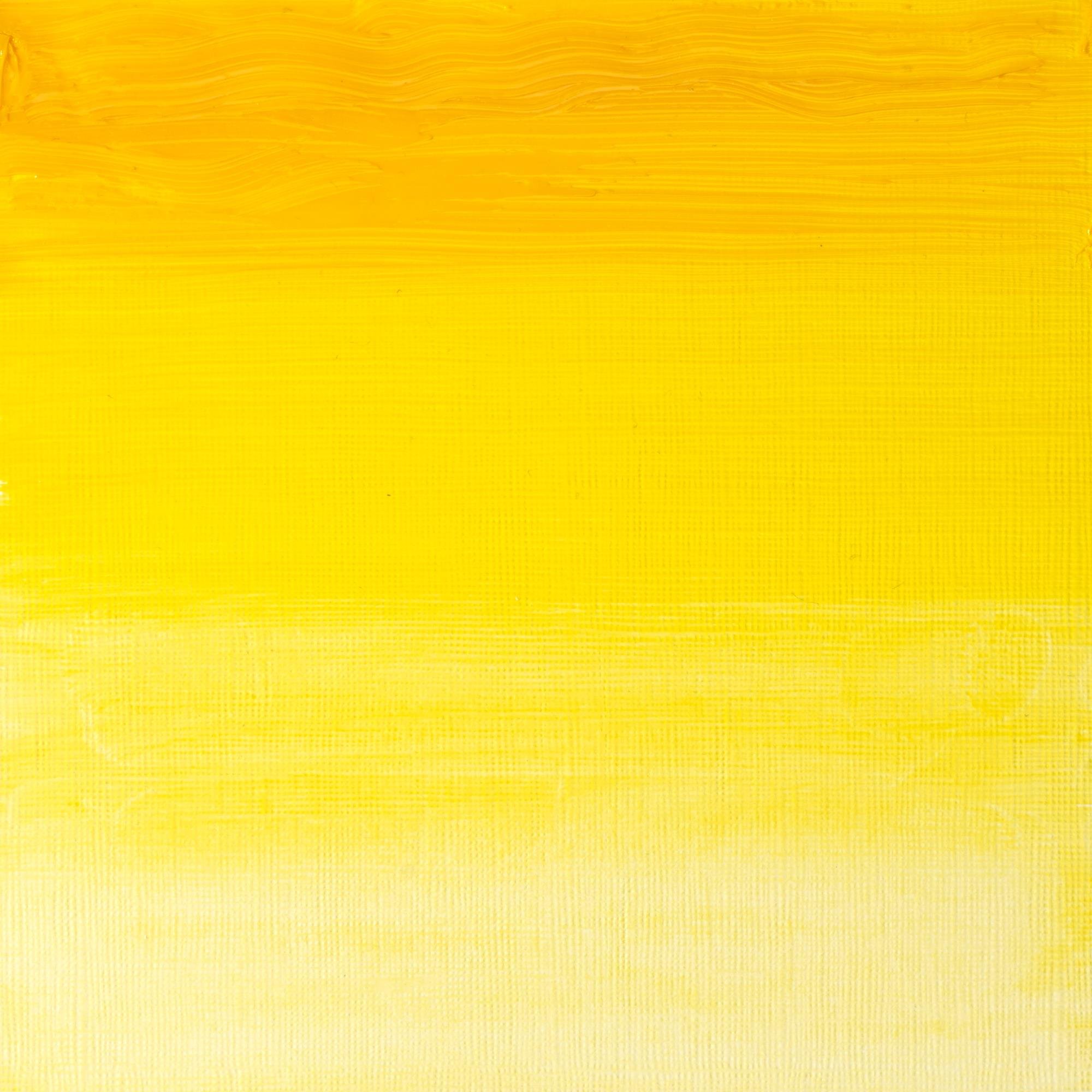 Foto 2 | Óleo Winsor & Newton Artists'  Amarillo Transparente  37 Ml - Venta Internacional.