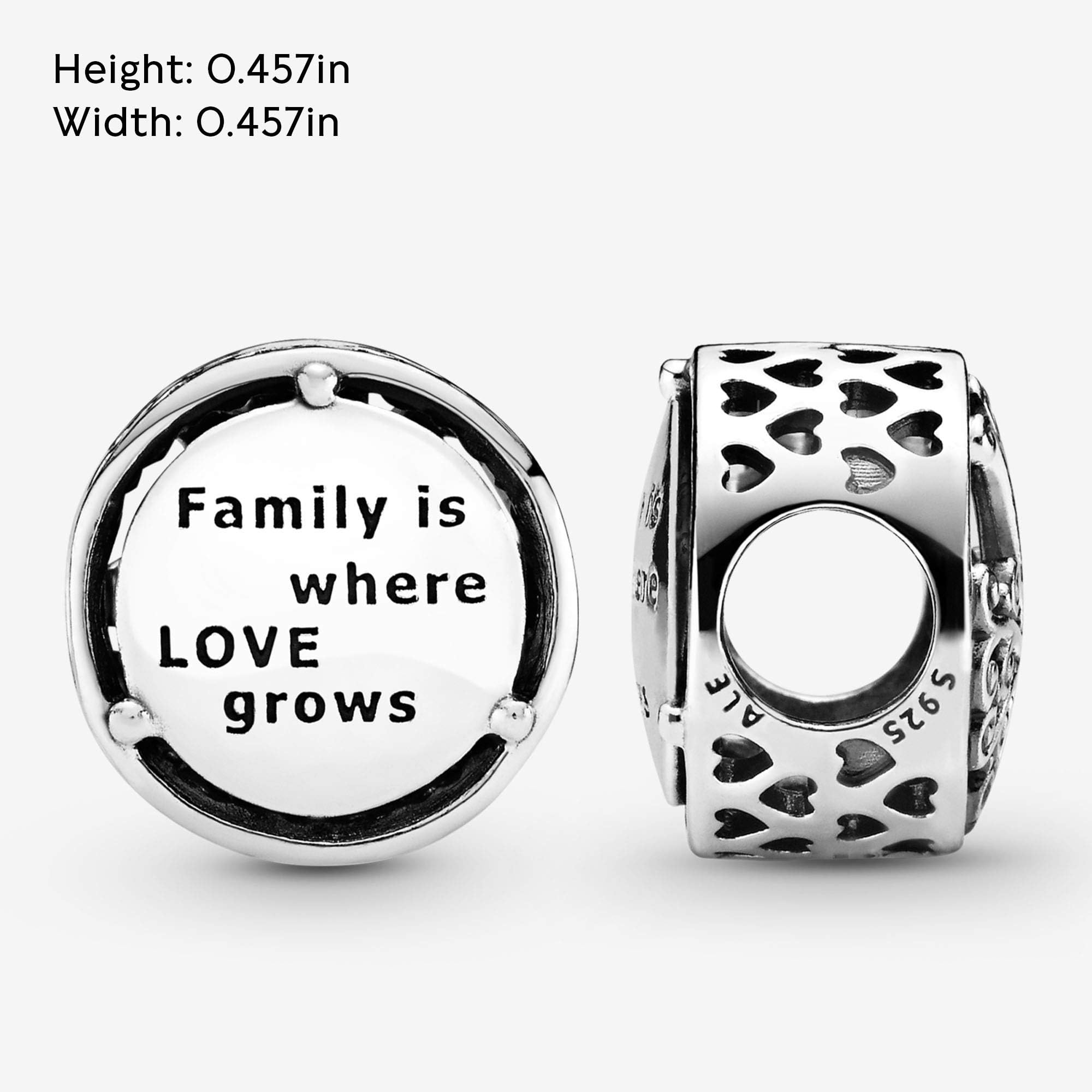 Foto 7 pulgar | Pulsera Con Dijes Pandora Openwork Family Roots En Plata De Ley - Venta Internacional.