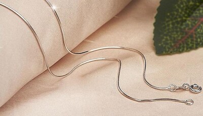 Foto 4 | Collar Huoguo Cadena Con Forma De Serpiente Chapada En Plata 20 Cm De Largo - Venta Internacional.