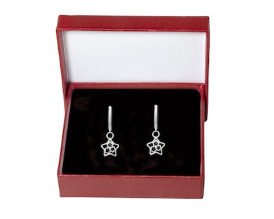 Foto 6 | Aretes Horoz para Mujer