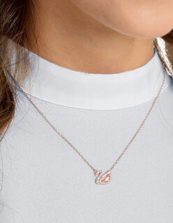 Foto 4 | Collar De Cisne Plata + Termo De Agua Güish