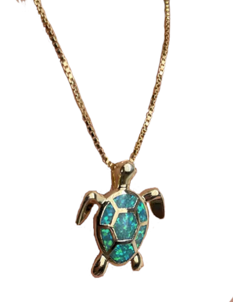 Foto 5 pulgar | Collar De Tortuga Verde Jade Acero Inoxidable + Termo De Agua Güish