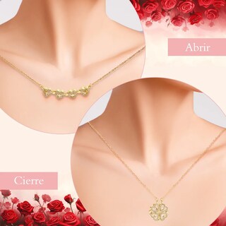 Foto 4 | Collar Lab.g Dama Corazón Y Trébol Mujer 18k Oro De Caja De Regalo Rosa