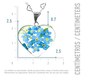 Foto 4 | Collar de Plata con Dije de Corazón Xtellar