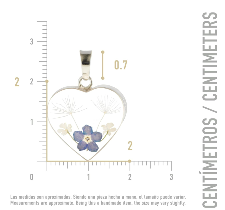 Foto 4 | Collar de Plata con Dije de Corazón Xtellar