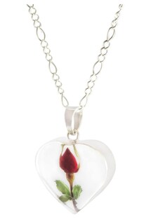Foto 1 | Collar de Plata con Dije de Corazón Xtellar