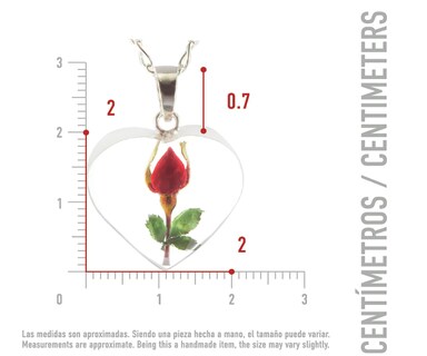 Foto 2 | Collar de Plata con Dije de Corazón Xtellar