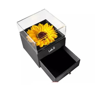 Foto 1 | Regalo Para Mujer Flores Girasol Eternas Collar Y Bufanda Lab.g, Multicolor