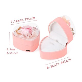 Foto 4 | Collar Y Pendientes+caja De Regalo De Rosas Preservadas Belug Rosa