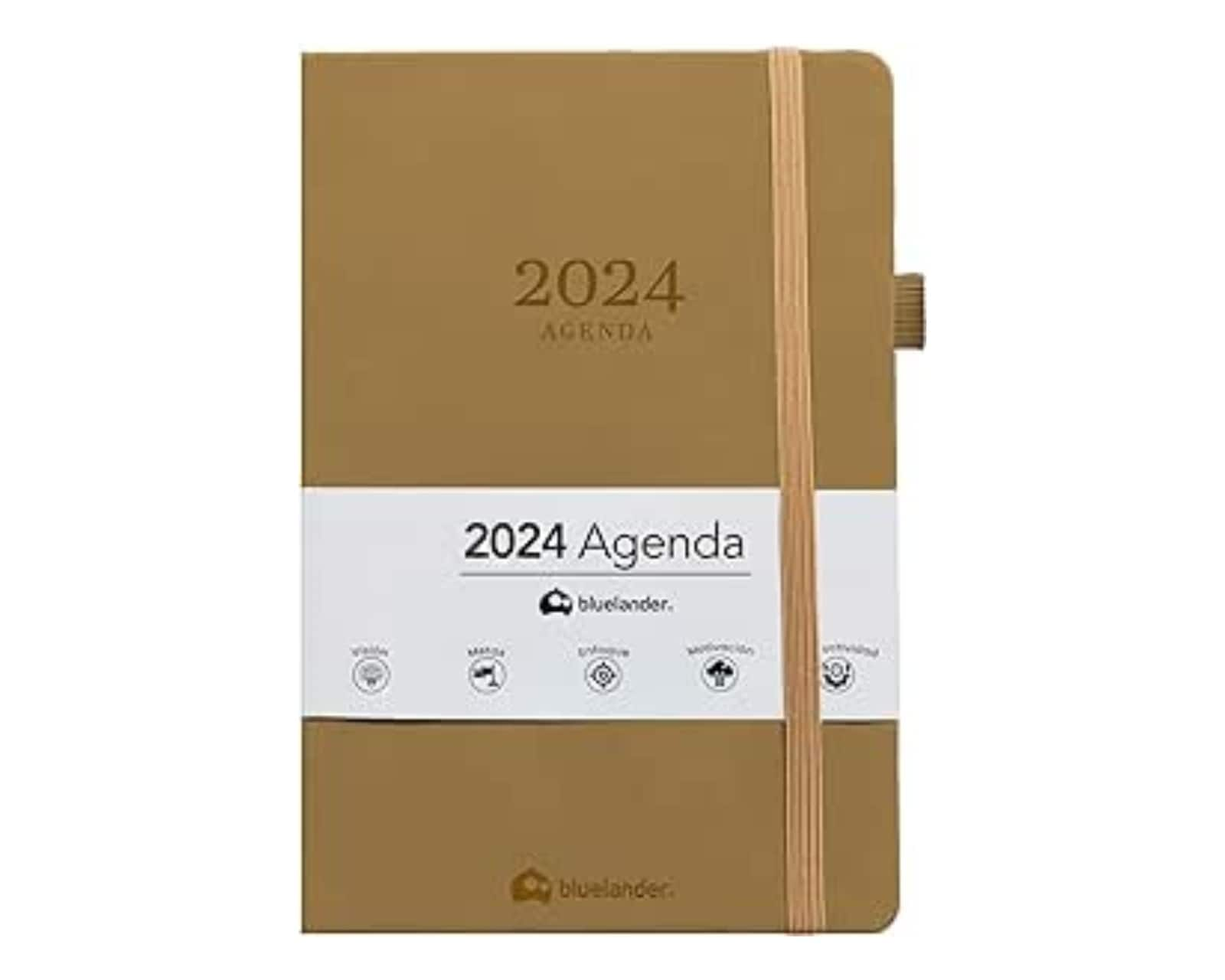 Agendra Bluelander Café 2024 $189