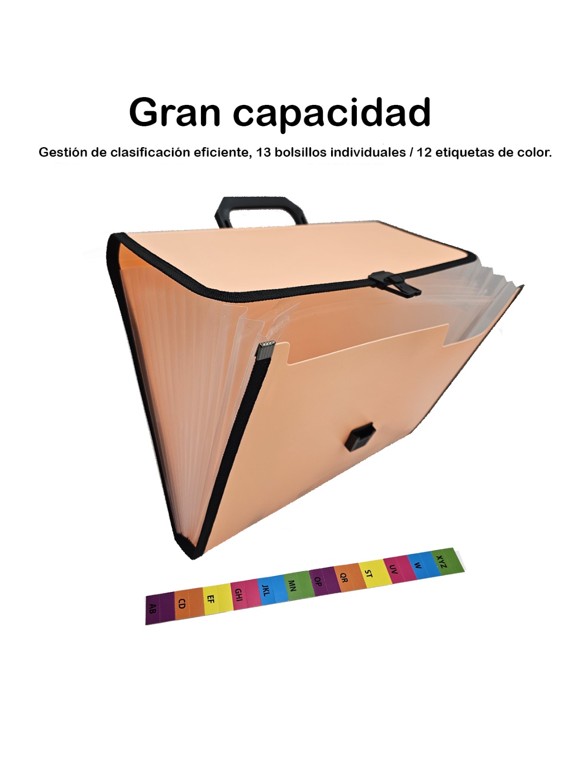 2 Piezas Folder Archivero